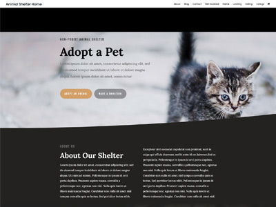 Animal-Shelter